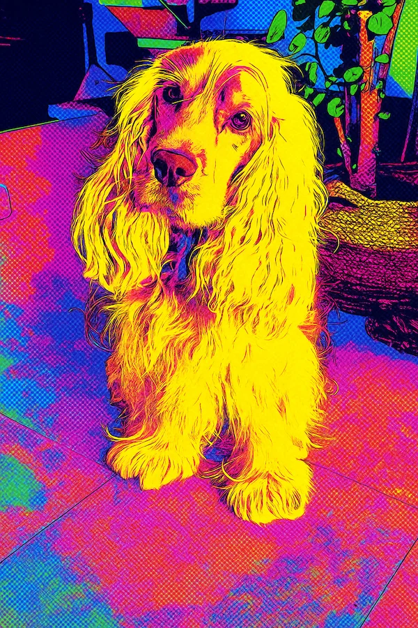 Portrait de chien personnalisé style Pop Art - Appliquez à votre photo des couleurs vives et flashy - AnimArt Studio