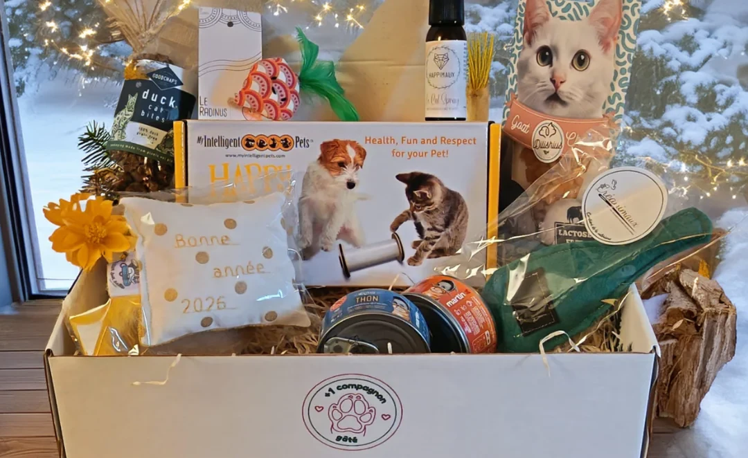 Box cadeau pour chien et chat Matoo et Patoo disponibles sur https://matooetpatoo.fr